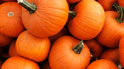 Getting the most out of your pumpkin this Halloween