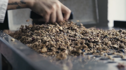 What’s happening at Rollagranola<br>(June 2021)