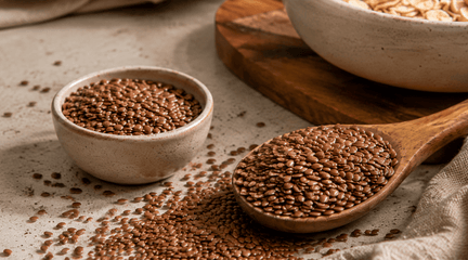 The Benefits of Flax Seeds: The Tiny Seed That Quietly Does Your Body a Lot of Favours