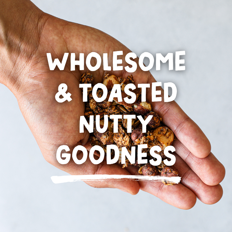 Handful of healthy, natural granola, vegan, gluten-free with no added sugars.